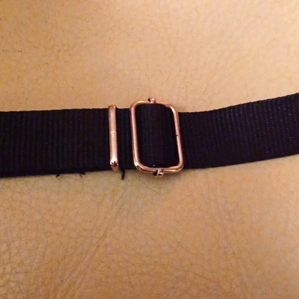 Duke Dixie Dog Seatbelt